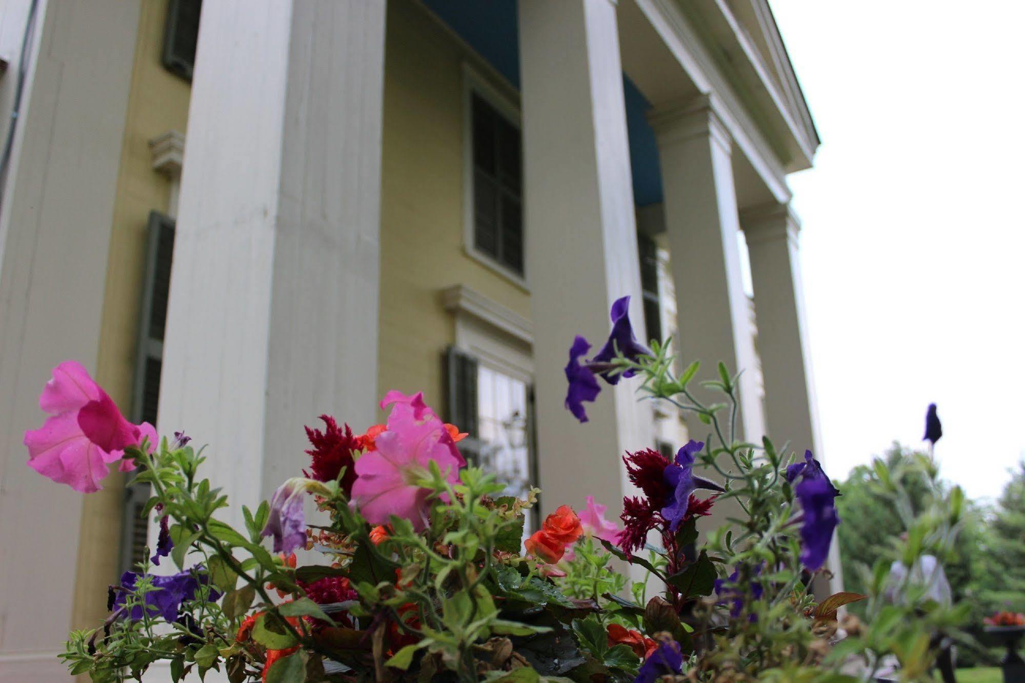 Oakcliff Bed And Breakfast Halfmoon Eksteriør bilde